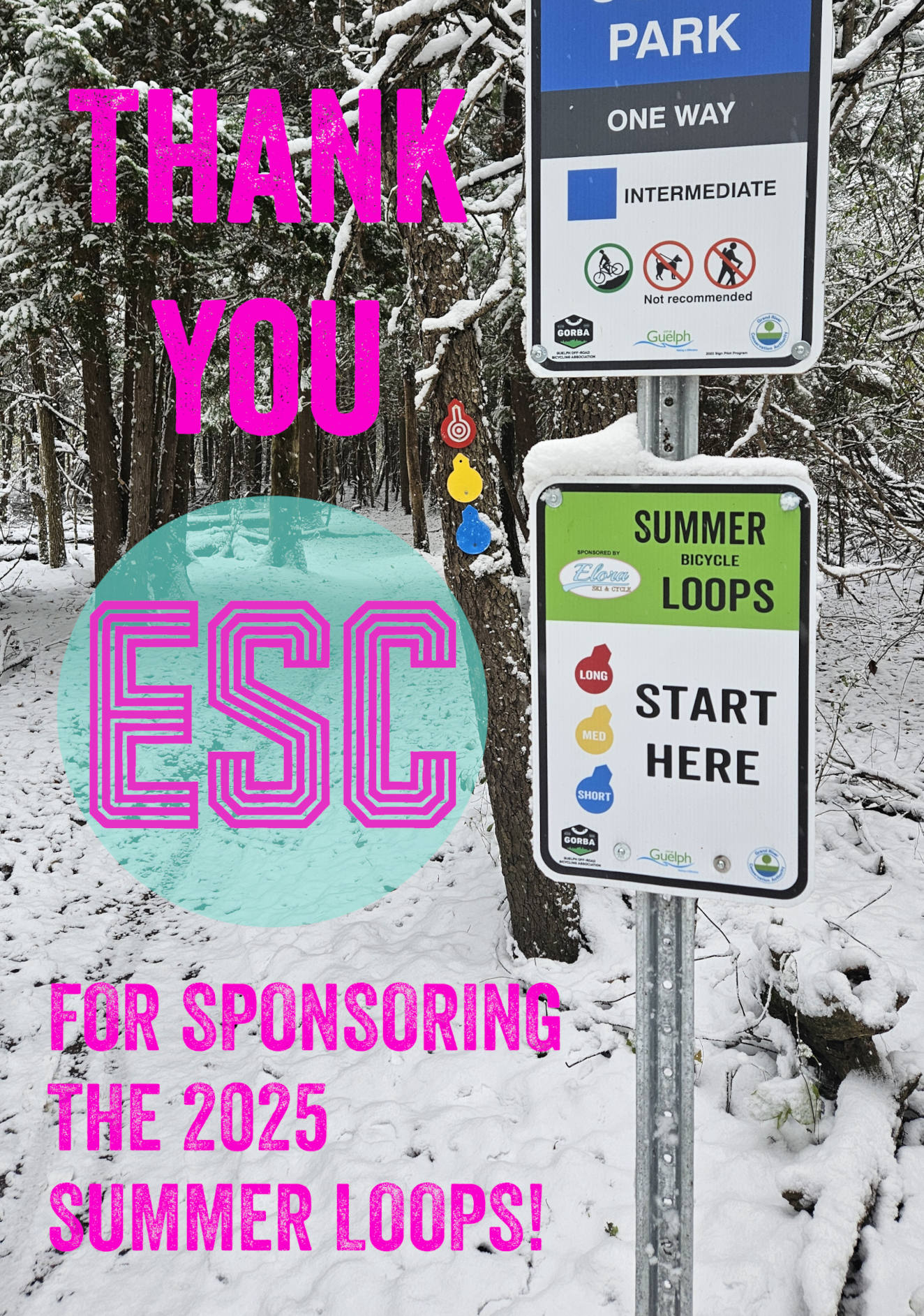 Goodbye 2025 Summer Loops!