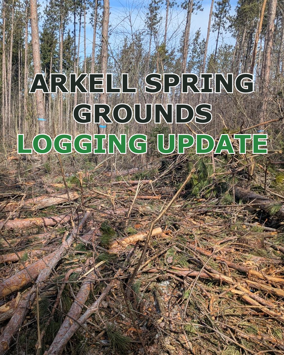 ASG Post-Logging Update